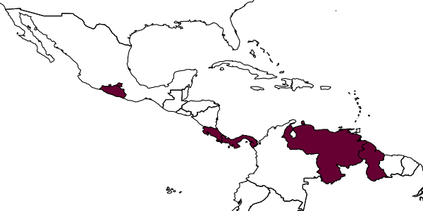 map of Enicospilus orosii     Gauld, 1988